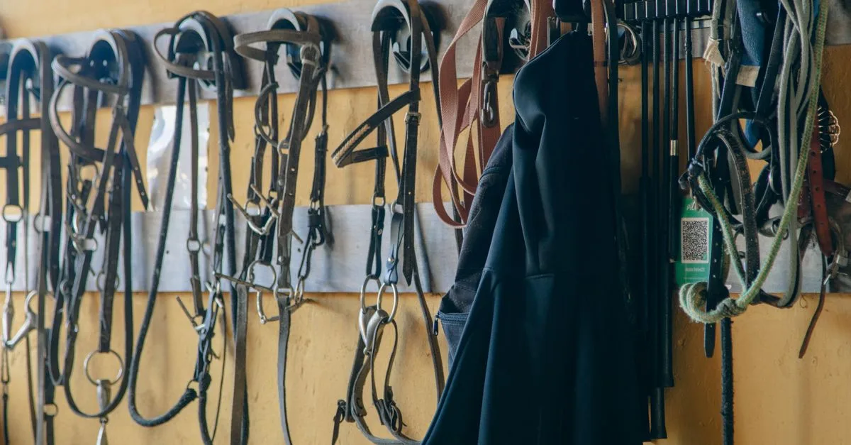 découvrez une selle en cuir de haute qualité, alliant confort, durabilité et élégance pour accompagner vos promenades à cheval.