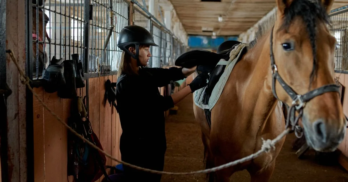 découvrez comment vérifier l’ajustement d’une selle à votre cheval pour favoriser son confort, sa liberté de mouvement et l’équilibre du cavalier.