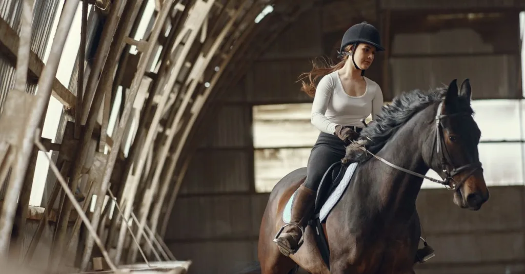 découvrez comment choisir une selle adaptée à votre cheval et vérifier son ajustement pour assurer confort, équilibre et liberté de mouvement.