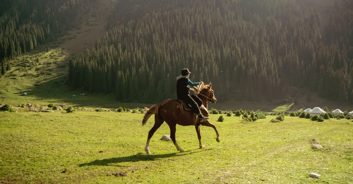 découvrez nos sacoches d’équitation pratiques et résistantes, idéales pour transporter vos essentiels à cheval lors de vos balades et randonnées.