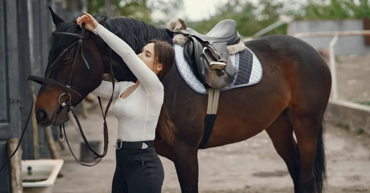 découvrez notre sélection d’articles de sellerie : selles, brides et accessoires de qualité pour le confort du cheval et du cavalier.