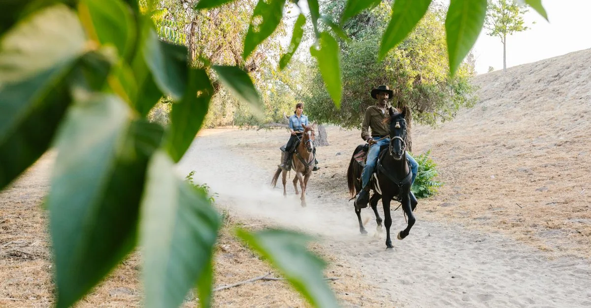 découvrez comment choisir une selle de randonnée confortable, durable et adaptée à votre cheval pour profiter pleinement de vos longues sorties.