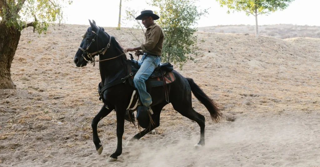 découvrez la selle de randonnée équestre idéale pour profiter de longues balades à cheval alliant confort, stabilité et liberté de mouvement.