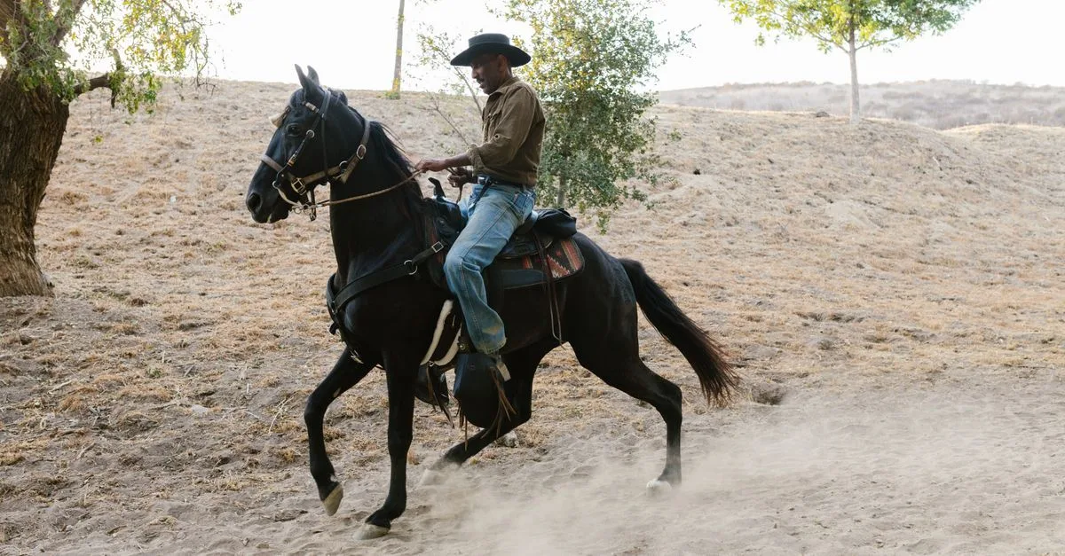 découvrez comment choisir la bonne taille de selle de randonnée pour votre cheval et vous assurer confort, stabilité et sécurité sur les sentiers.