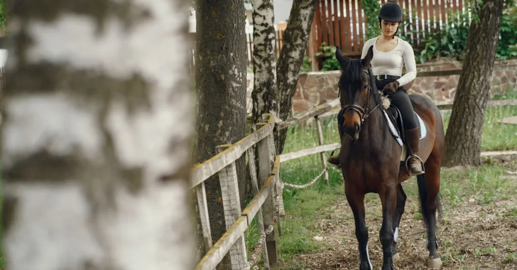 découvrez comment mesurer et choisir la bonne taille de selle de randonnée pour assurer confort, stabilité et bien-être à votre cheval.